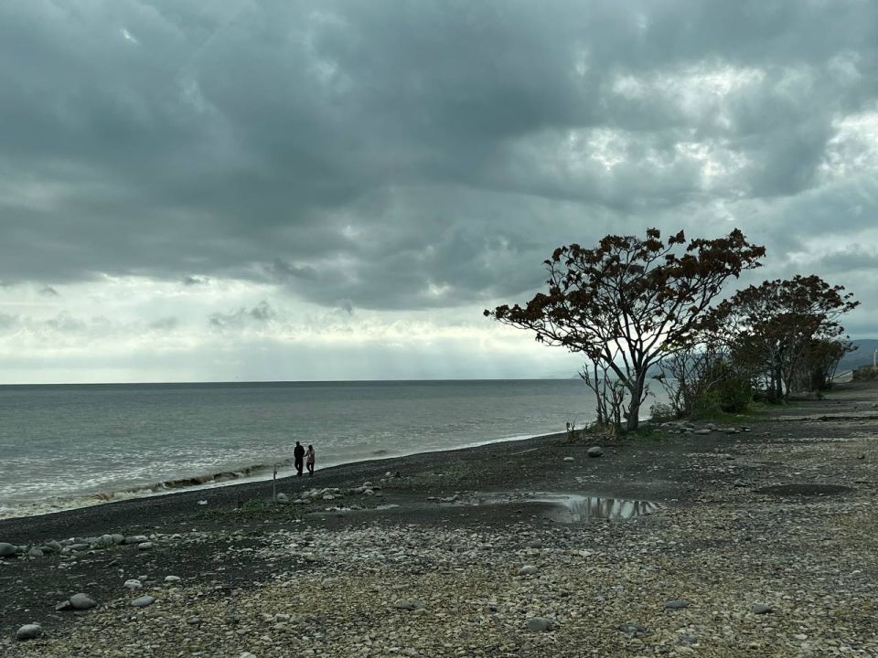 Началось: туристы на Черном море делятся неприятными наблюдениями. Но не про цены и мазут