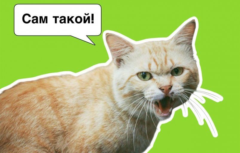Раскрыт жуткий смысл фразы на Руси - сейчас хуже мата, а говорит каждый 2-ой