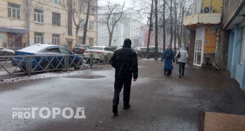 Снежные выходные в Ярославле: ожидаются осадки