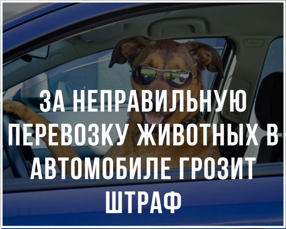   :     