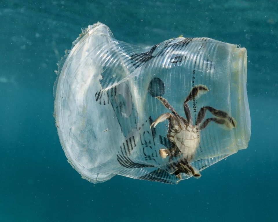 The Ocean Cleanup:      