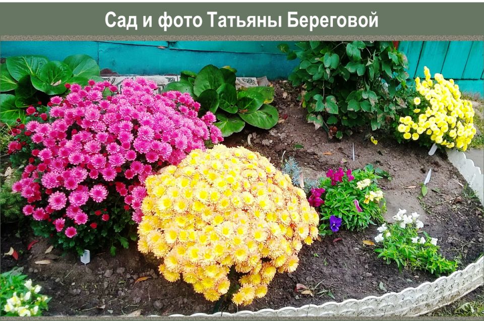    :   