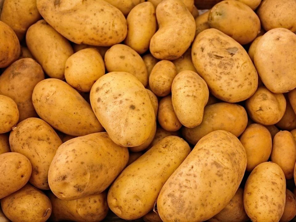      :   