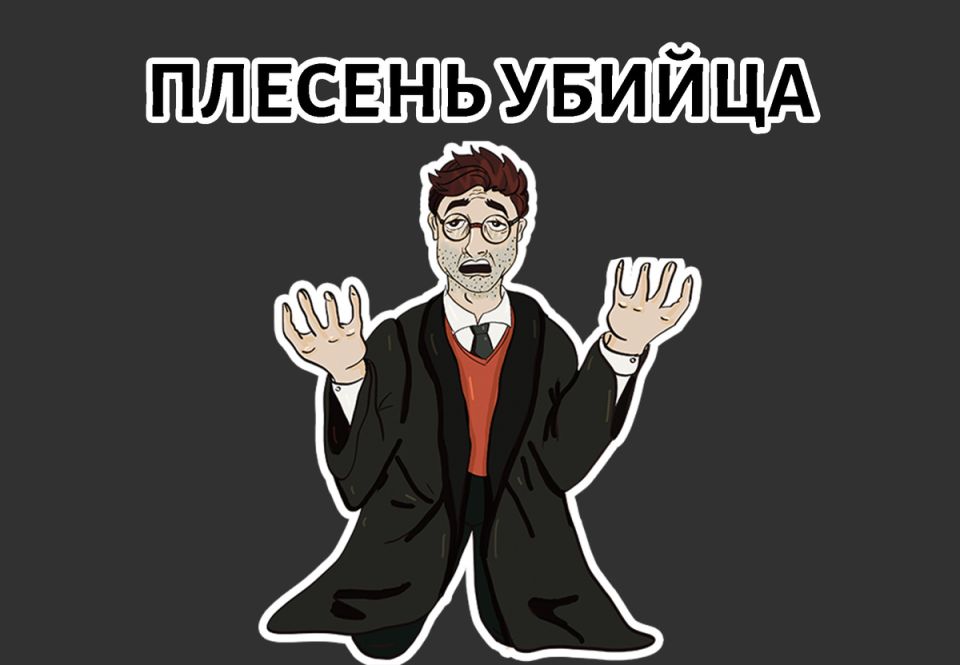 :  ,    