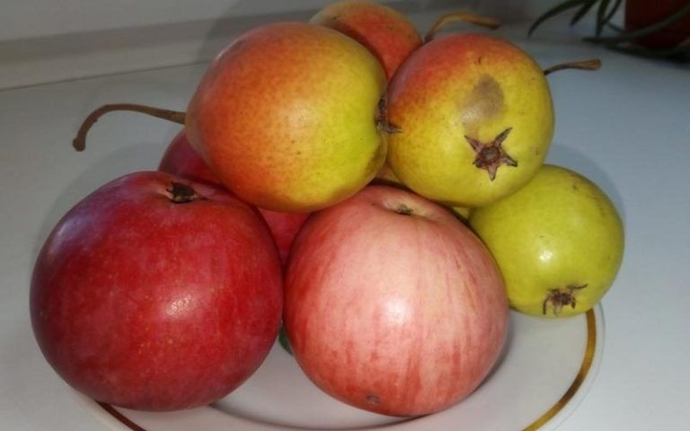 Как правильно мыть овощи и фрукты: советы от экспертов