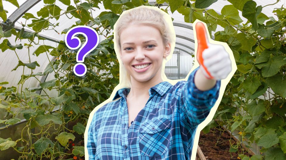 Это удобрение в разы лучше навоза: растения попрут как на дрожжах