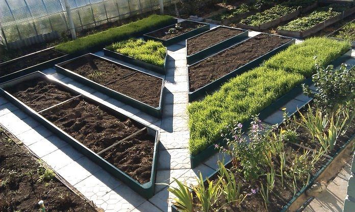 Эффективное планирование садового участка: ключевые аспекты