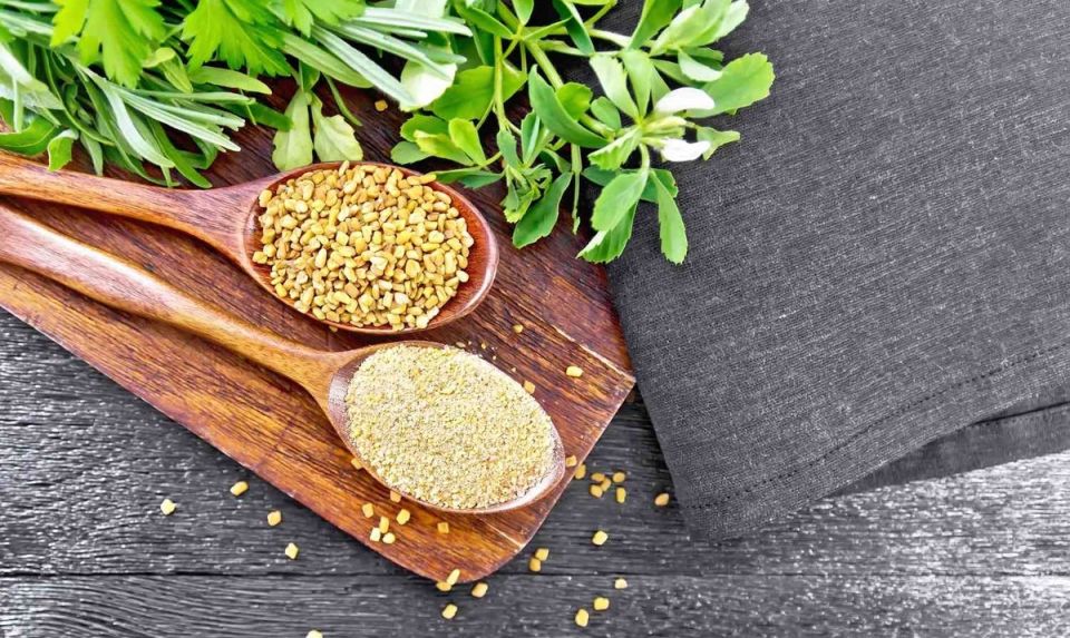 Восхитительный пажитник: как древнее растение завоевывает современность