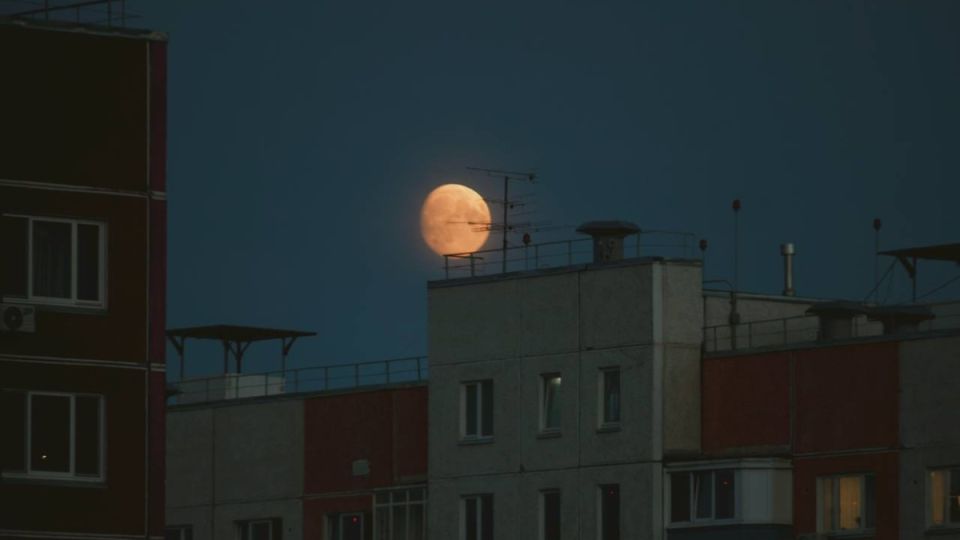 Как продлить жизнь утюгу: секреты идеальной глажки и ухода