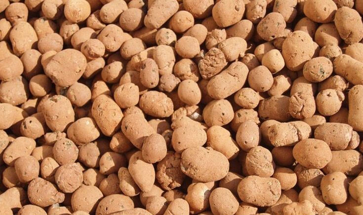 Как керамзит меняет правила игры в мире комнатных растений