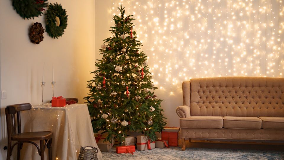 Ни одной иголки не останется: простой трюк поможет «замести следы» от живой ели