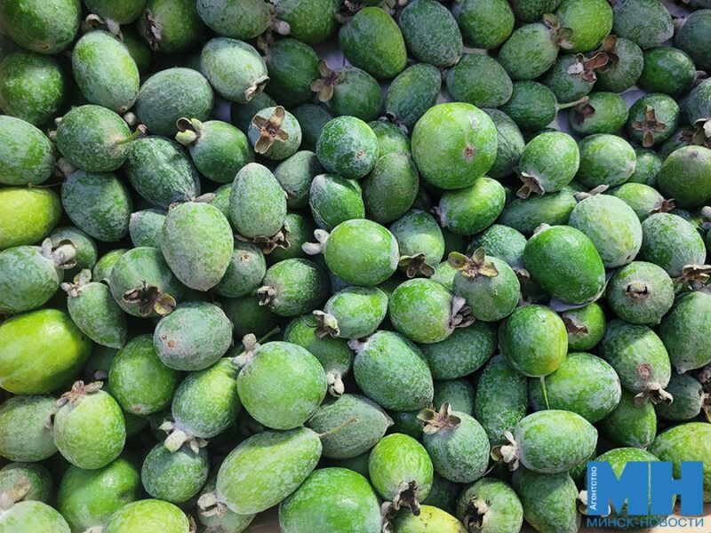 Комаровка в октябре: как изменились цены на вкусные дары природы