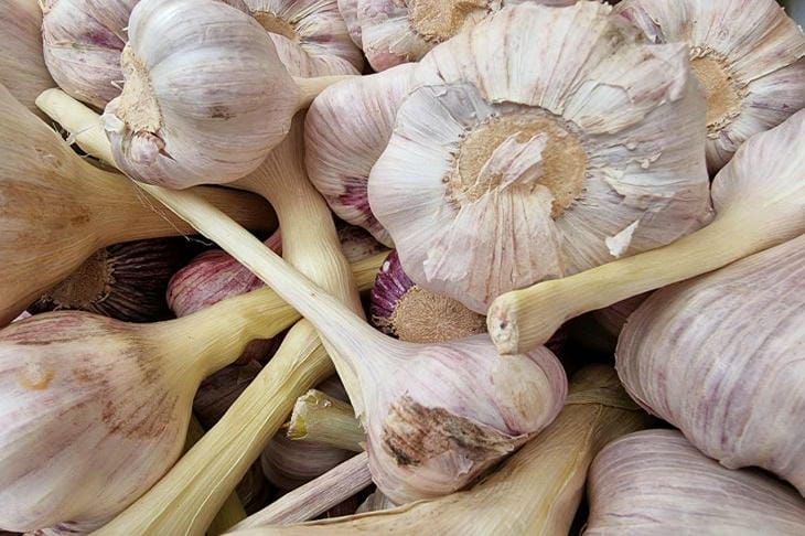 Почему чеснок прорастает и портится: простой способ сохранить урожай до весны