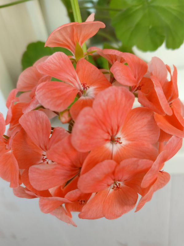 Когда экономия может обернуться бедой: на чем не стоит скупиться