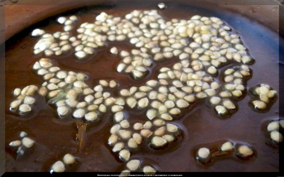 Пробуждение семян: как подготовить их к успешному посеву