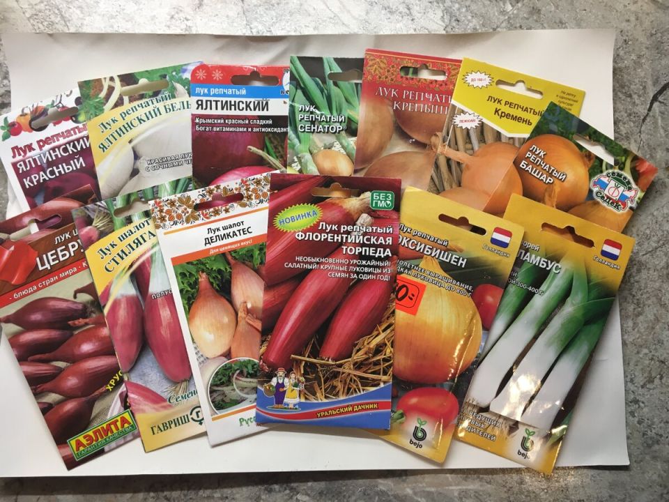 Как вырастить лук из семян: секреты успешного урожая