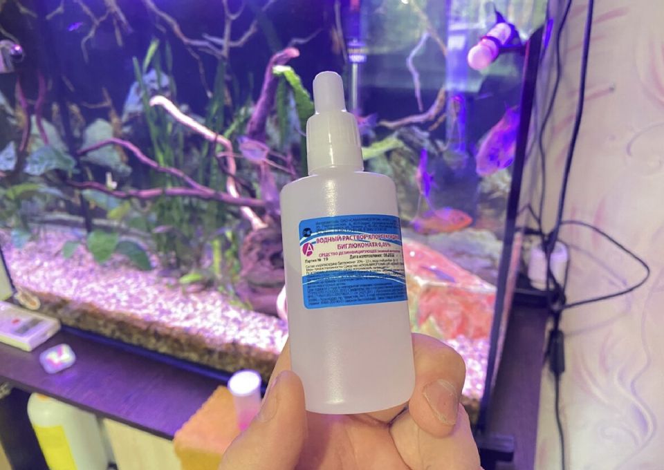 Летние секреты: как хлоргексидин может изменить ваш быт