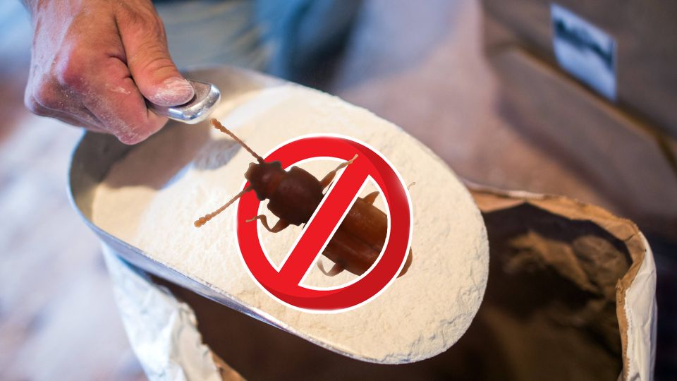 Жучки и моль не заведутся: деревенские знают секрет, который позволяет хранить муку годами