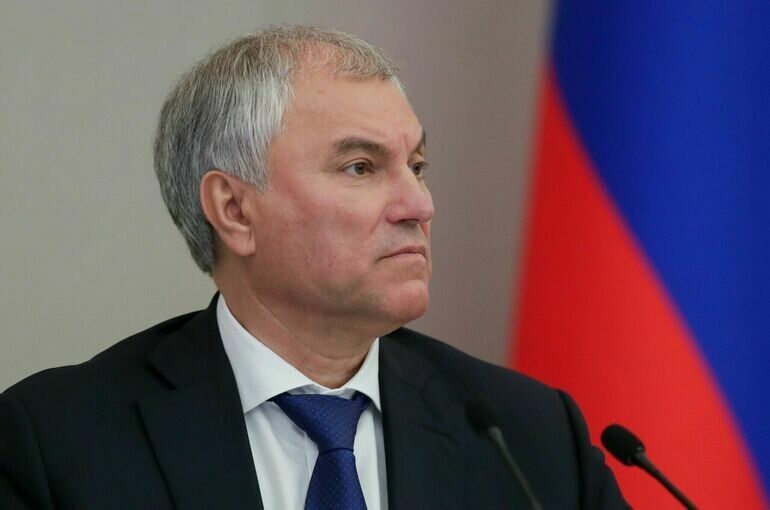 Володин инициирует обращение к правительству России по защите активов