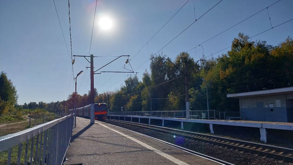 Зимняя меланхолия: как вспомнить о красоте осеннего леса