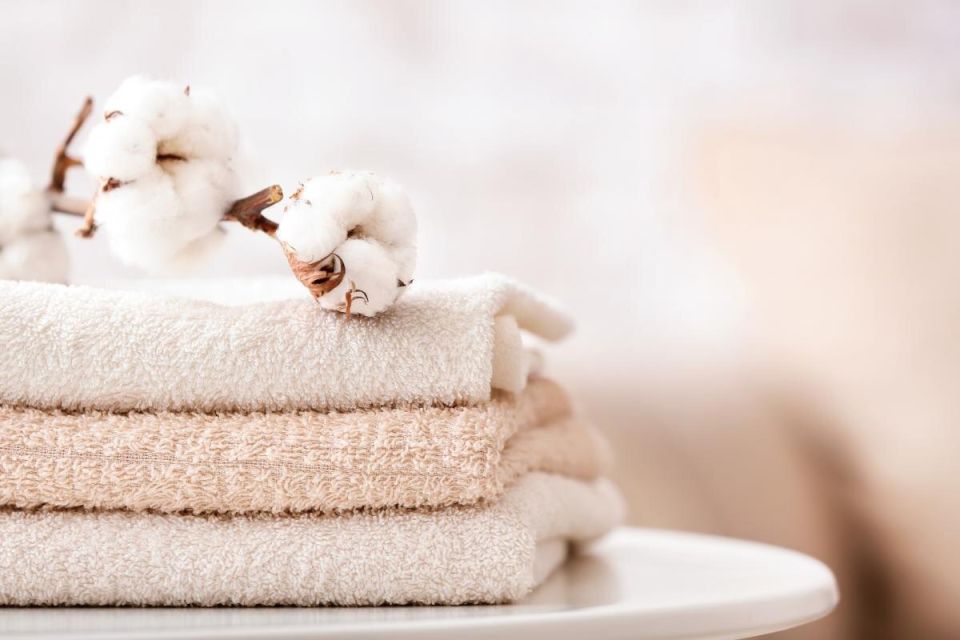 ������� ��������: ��� ������� ���������� ����������� ���� � ������� ������� ������