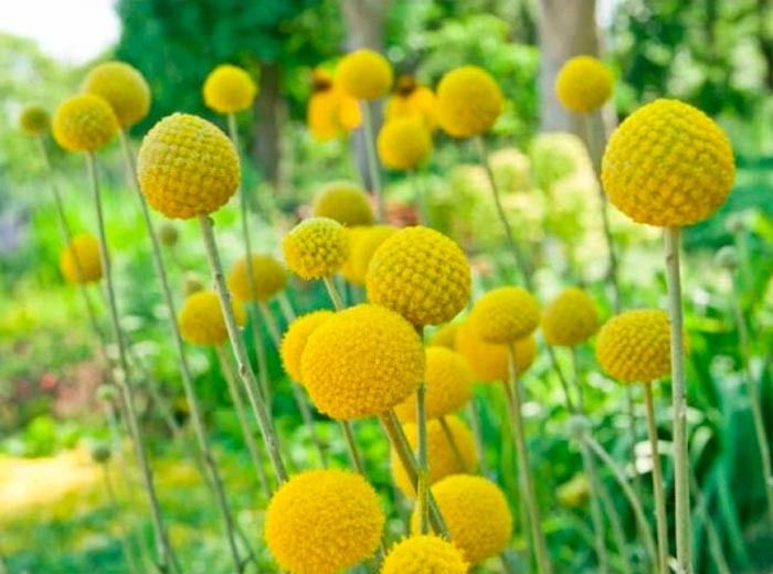 ���������: ��� ������� ����� � ����������� ����� ������ ��������