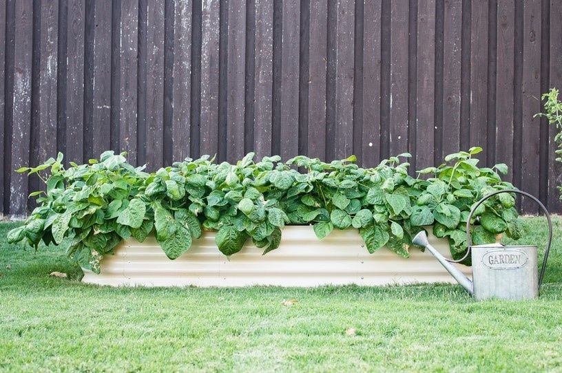 ������� � ����������: 3 ������������ ���� ��� ������ ������� �������