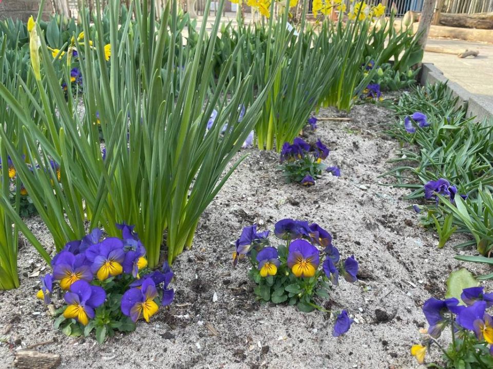 ��� ����������� ��� ��� � ��������� �����������: 10 ����������� �����