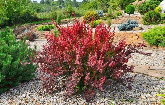 ������������ ���� � ������� �����������