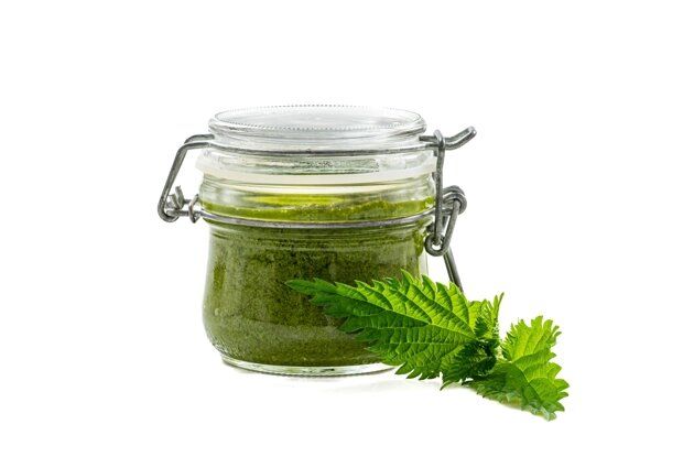 Песто из крапивы: незаслуженно забытое чудо