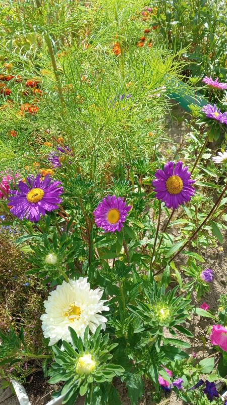 �� ������ ��� ��������� �����: ��� ��������� �������� �����������