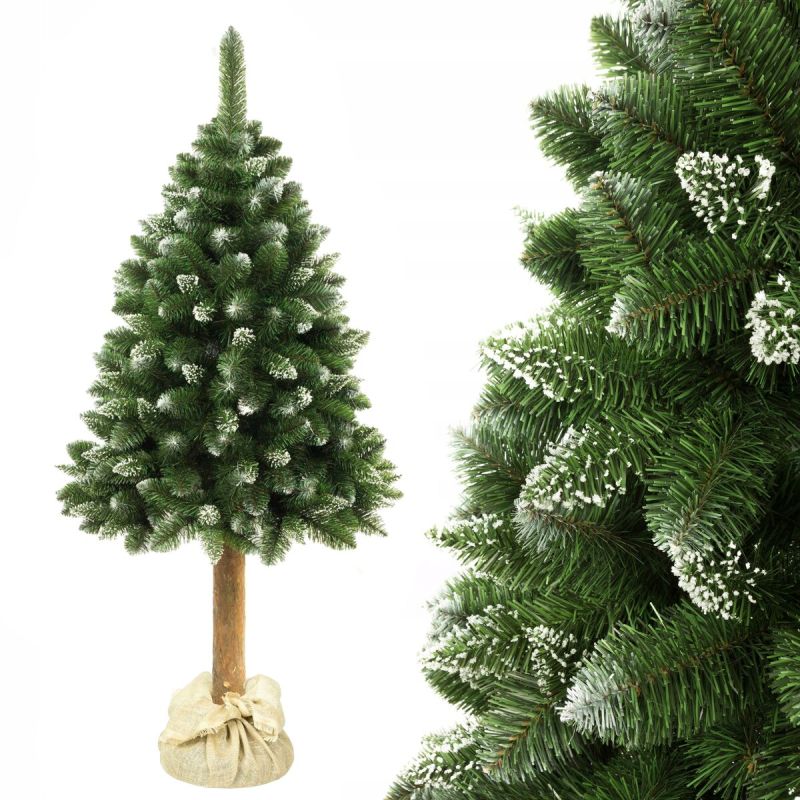 ��������� ���������� ����: ����� ��� ������������� � ��� �������?