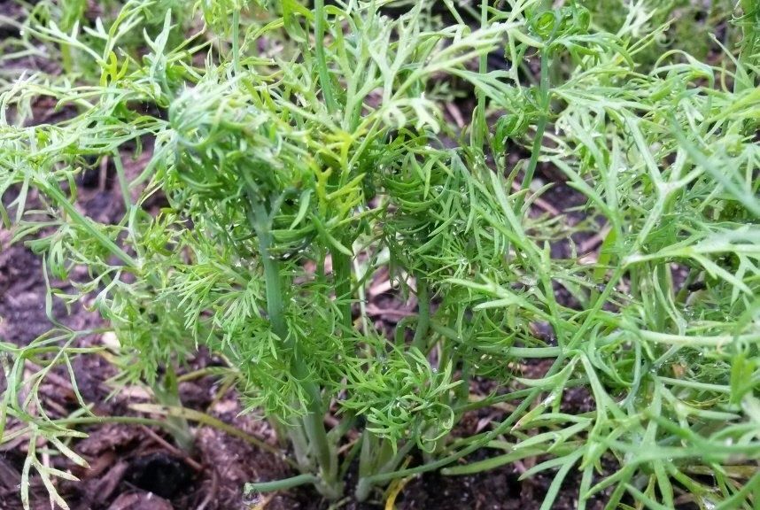 ����� ������������� � ���������:?? ������ � ��� � ���� ����������