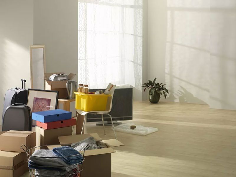 ����������� ������������: 11 �����, �� ������� ����� ���������� ��� �������