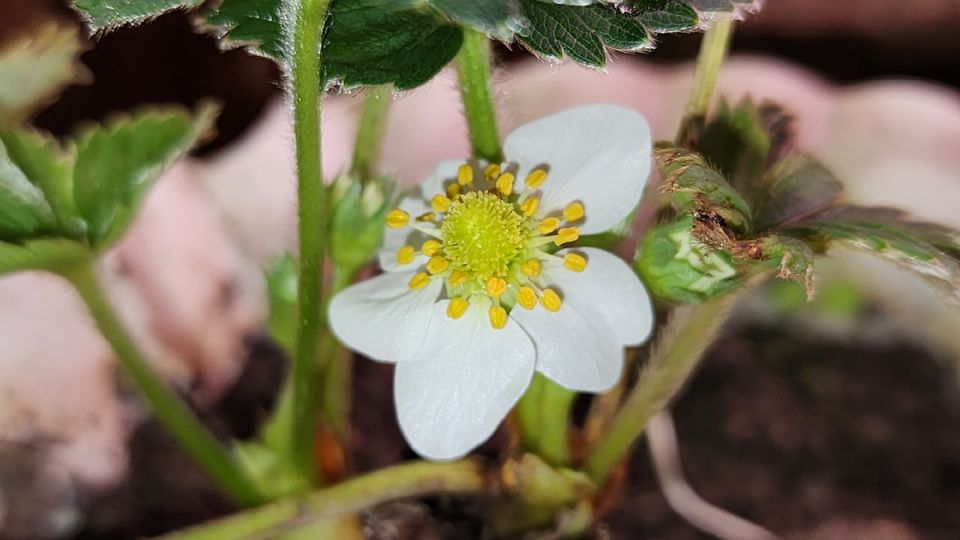 ������ ���: ��� ������� ��������� �������� � �������� ��������