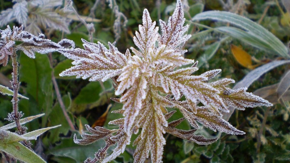 ����� � � �������������