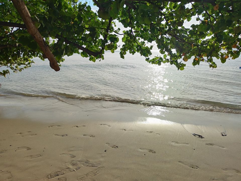 ������� �����������: ��� ������� ����� ������������� �� ������� ����