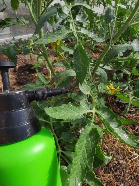 ��������������� ����������: ���� � ���������� ��� ���������