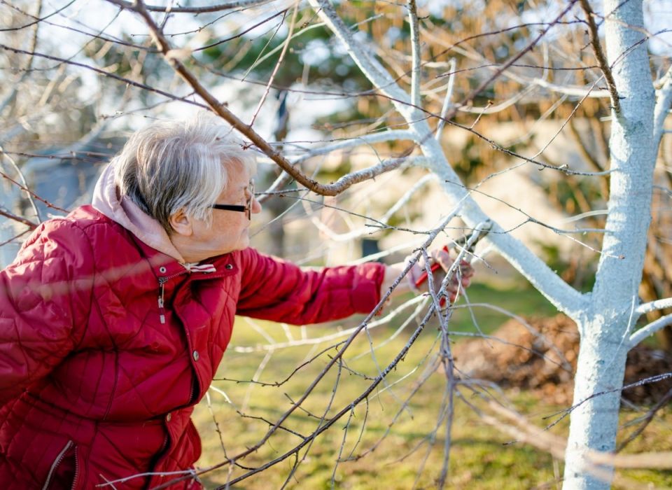 ������ ������� ��������: �������� ������ � ������������ ��� ������ ����