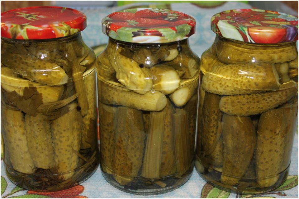 ��� ���������� ��������� ������������ ������ � ������ ���������� �� ����