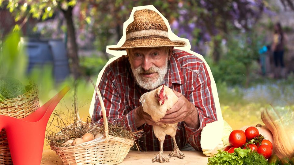 ���� ����� ��������, � �������� �������: ��� ����� ����� ���������� � ���� �������