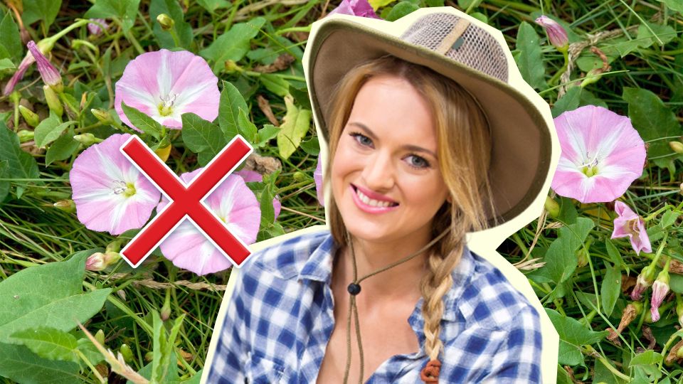 ������ �������� � ������� ��� � ��������: ��� ��� ����� �������� �����