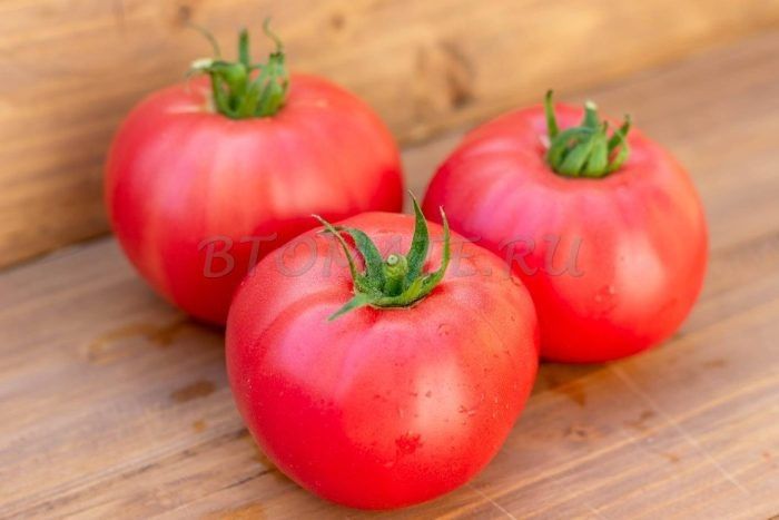 ����� �� ����: ������� ��������� ������