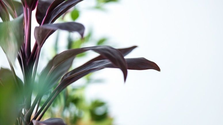 ������� ��������� ����������: ��� �������� ����� ������ � ������ �����