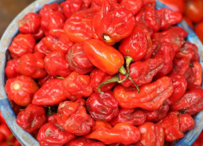 ������� �������� �������� �����: ��� ��������� ������� ������� � ������ ����