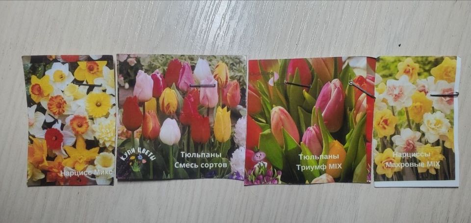 ��� ���������� �������� � �������� �����: ����������� ����