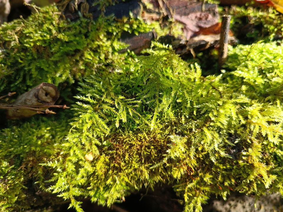 ������ ��� � ������� � ��� �� ������ �������������, � ������ ������� �� �����