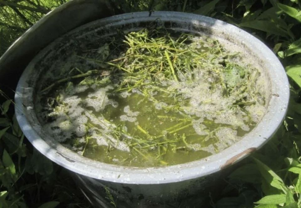 ��� ������� ����������� ���������: ������� ������������� �������� ����������