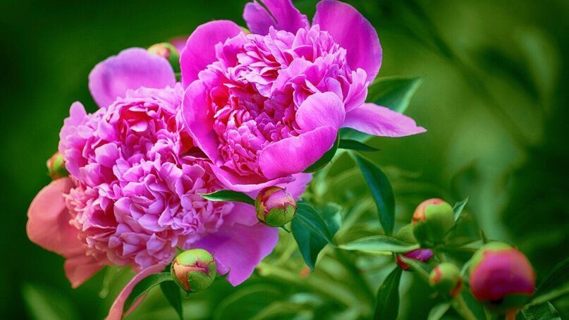 ��� �������� ����� ����� �������� ��� ��� � 2026 ����