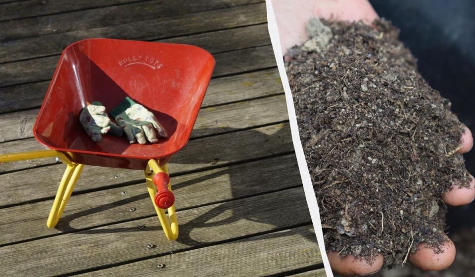 ��� ��������� ���� ��������: ������ ������ ��� ������� ������� ��� �����